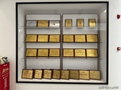 起笼盖全城的办事收集